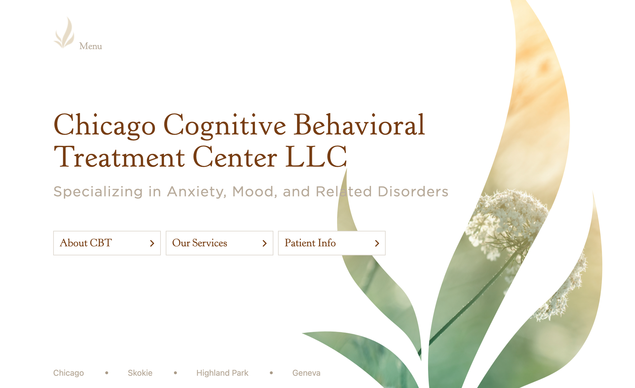 screenshot of portfolio piece